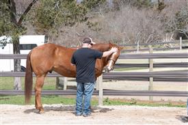 LR-WRF 0402026 Retreat-3248